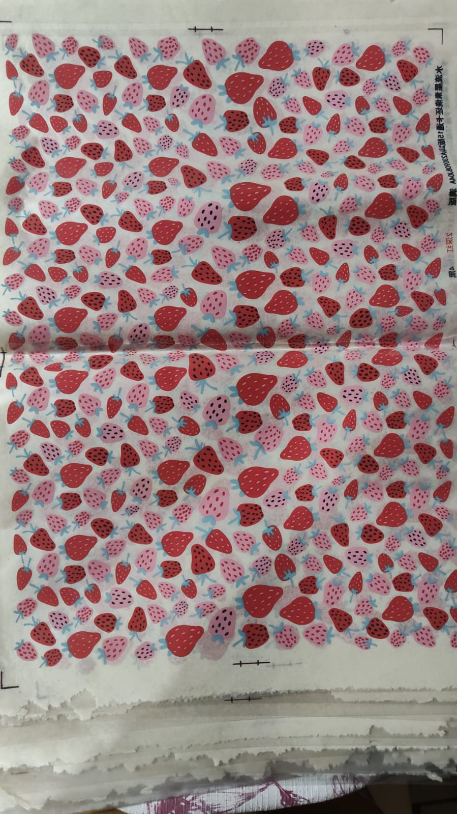 Transfers cerámicos  de frutilla✨